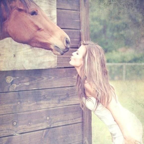 Meet your Posher, Cleo - Picture 1 of 1